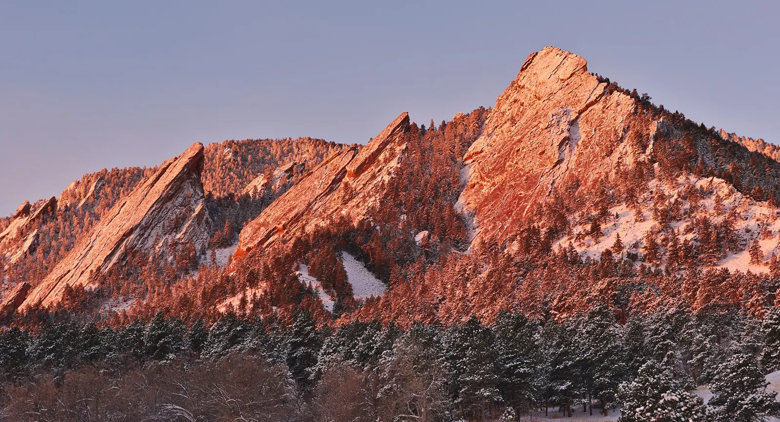 The Flatirons rock formations above Boulder glowing pink at sunrise over a snow-dusted pine forest